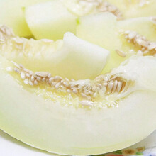 寿禾 香瓜种子伊丽莎白香瓜黄皮白肉白皮香甜瓜甜如蜜春季家庭种植四季易种瓜籽高产早熟寿光瓜种 【白皮白肉】雪奶香1号 20粒装