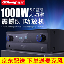 奇声大功率蓝牙定阻5.1功放机家用卡包功放专业DTS发烧重低音ktv音响网络智能语音功率放大器空放机 旗舰版(无损解码)