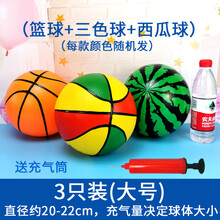 小孩玩的皮球 充气球儿童玩具拍拍球小皮球西瓜球幼儿园弹力小篮球按摩球球类MSY 3个大号(三色球 +蓝球+西瓜球) 送气筒1个