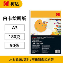美国柯达Kodak A3硬白卡纸4k牛皮纸封面纸 厚彩纸儿童手工纸 180克厚硬白卡纸 50张装9891-219