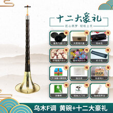 唢呐乐器全套乌木木演奏考级d调初学者入门喇叭 乌木F调唢呐黄碗+12大