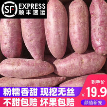 【顺丰】新鲜紫薯板栗地瓜小蜜番薯山芋农家5/9斤 新鲜 9斤【甜糯新鲜+顺丰】