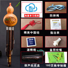 云南紫竹葫芦丝c调降b乐器初学中小学生演奏成人小D/A/g/f调 【演奏款】降b-教材-皮盒