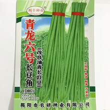 揭美 大肉珠仔豆角种子 油白粗条甜豆角 厚肉好吃猪仔黑籽豇豆种子 高产阳台农家长豆角蔬菜种子 青龙六号长豆角种子 原厂包装200克