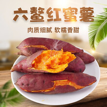 【福建六鳌红蜜薯】新鲜红薯番薯地瓜整箱农家山芋5斤9斤10斤 5斤装大薯 约10～15个