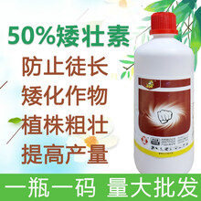 50%矮壮素农药果树控梢矮壮植物花卉生长调节剂矮化控旺 500g