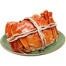 航海日记六月黄大闸蟹鲜活螃蟹满黄新鲜海鲜水产河蟹 六月黄 （1.6-2.1两）12只装