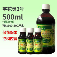 促花保果控梢旺素沙砂糖桔柑橘荔枝龙眼芒果树催膨大专用药叶面肥 2号500ml+3瓶80m【一起兑水300斤使用】