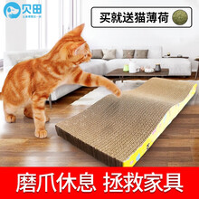 贝田 猫抓板窝磨爪器瓦楞纸防猫抓沙发猫咪玩具猫咪用品 碗型中号