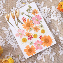 北朝情调 创意干花diy手工制作材料包真花压花花妆贴画网红相框植物标本树叶装饰花艺 花田系列-24朵