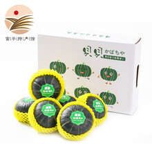 金柿园 进口贝贝南瓜 产地直供 新鲜蔬菜 宝宝辅食 进口贝贝南瓜5斤装（4-8枚）