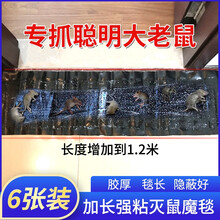 千居惠 老鼠贴强力大号粘鼠板灭鼠魔毯抓老鼠捕鼠神器粘鼠胶家用老鼠夹耗子药沾鼠板老鼠克星一窝端 大号粘鼠魔毯（6张装）