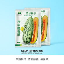 中科茂华瓜果种子茂华甜宝甜瓜种子芝麻蜜香瓜种子含糖16.5脆香酥新青玉耐湿耐热耐雨水超甜多汁基地种植 脆香酥5克/袋【小蜜蜂甜瓜】