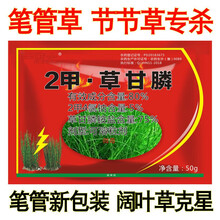 笔管劲锄节节草笔筒草笔筒草果园烂根死根笔管草 笔管劲锄10包