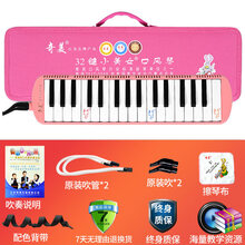 奇美口风琴32/37键 儿童学生初学者课堂教学吹管演奏西洋乐器 32键小美女&送全套