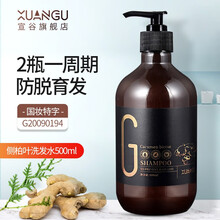 宣谷生姜洗发水 商品搜索 京东