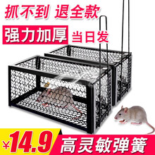 居标品粘鼠板超强力粘板沾大号老鼠贴胶日本强力捕捉老鼠神器家用大老鼠克星一窝端 10张装 JZSB01 老鼠笼2个装