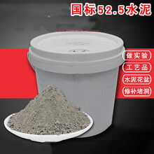 水泥硅酸盐po52.5实验高标号525防水补漏洞快硬早强速干水泥桶装