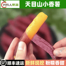 （顺丰）天目山小香薯 金手指红薯 现挖番薯 粉糯香甜 宝宝辅食 新鲜甜薯 3斤 精品果