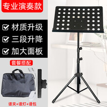乐谱架便携式家用琴谱架吉他古筝小提琴曲谱架可升降折叠支架 演奏款大谱架+看谱灯+谱包+乐谱夹