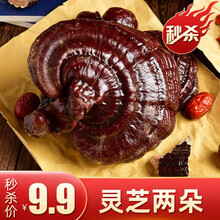 保茸斋 灵芝片紫长白山灵芝 整朵切片灵芝茶可泡酒可煲汤 整个紫灵芝 2个【泡酒搭配、特价】