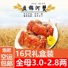 【活蟹】必有重蟹盘锦河蟹稻田蟹特大全母大闸蟹鲜活螃蟹现货生鲜水产毛蟹海鲜水产2两大蟹六月黄小螃蟹 【稻田蟹】1.2-1.0两全母30只+送5只抵损耗