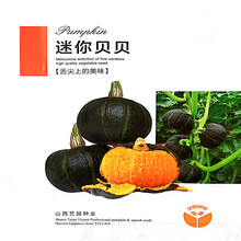 日本南瓜种子 香甜板栗南瓜籽味香高产小南瓜种子四季蔬菜种籽孑 迷你贝贝南瓜原厂彩包/5克