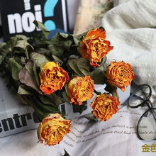 玫瑰干花花束真花小蔷薇尤加利叶摄道具文艺北欧家居装饰 金色海岸10支