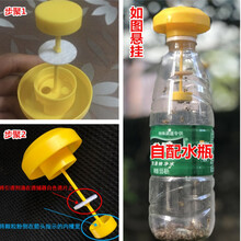 果蝇引诱剂实蝇器药水杀虫剂瓜果园百香果桔小实蝇针锋诱虫药 盖头+果蝇诱剂+颗粒粉*  各10个