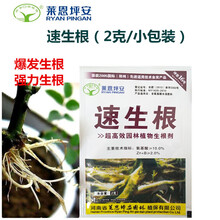 坪安速生根生根粉生根剂苗木扦插大树移栽多肉月季根动力灌根 拍5小袋2克(半袋)