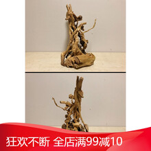 杜鹃根树根沉木水草造景鱼缸木头小型水榕免煮天然沉木细莫斯树形 E3923