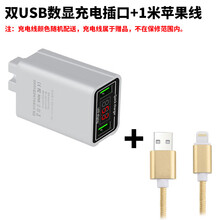 电动车12V36V48V60V72V96伏通用电瓶车手机充电双USB转换器2A快充 双口数显充电器+苹果数据线