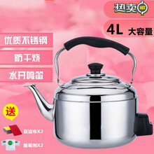 FEDAIR家用不锈钢大容量鸣笛防干烧电水壶烧水电茶壶加厚电热水壶烧水器 4升容量较小 标配：一壶配一95cm电源线