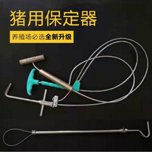 其六不锈钢金属棍式塑料套猪器猪套子保定器长杆抓猪神器工具兽用器具捕猪器保定绳 绿把套猪器(10个)