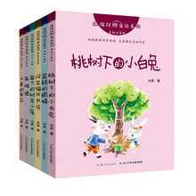 冰波经典童话：美绘注音版，企鹅寄冰等入选二年级统编教材(套装共6