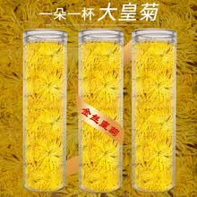 菊花茶 金丝皇菊特级黄贡菊花茶一朵一杯大朵花茶女神养生茶花草茶独立包装优选泡水喝的花茶大朵杭白菊胎菊 金丝皇菊  1罐