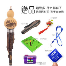 舒弗（LACHOUFFE）葫芦丝学生 成人 初学 演奏型 17762967057乐器 C调 降B调 小D调+书