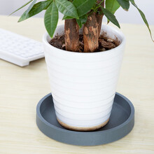 漫生活  圆形花盆托盘2只装 外径约190mm底座 桌面花盆垫花器底盘塑料接水盆 高级灰