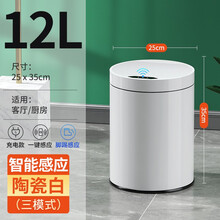 汉世刘家 智能感应垃圾桶不锈钢带盖家用厨房分类大号厕所卫生间创意垃圾篓 白色12L升级充电款【感应+一键开启+踢踢感应】