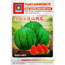 纳格兰礼品西瓜种子超甜黄瓤小兰迷你小西瓜种籽农家四季种植水果种孑 红小玉原装(约20粒)