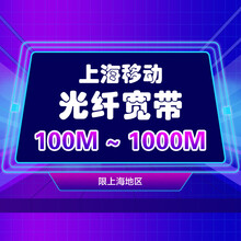 上海移动光纤宽带办理 新装300M单宽带
