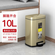 CCKO不锈钢垃圾桶家用客厅北欧创意脚踏式卫生间厕所厨房脚踩带盖 10L脚踏环境桶（香槟金CG）