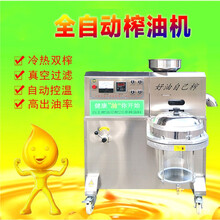 芝麻香油机流动摆摊油坊螺旋花生炸油机中型小型商用全自动榨油机青鲨 单桶过滤