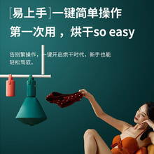 干衣机 烘干机家用 烘衣机衣物衣服护理机内衣内裤消毒机小型折叠烘干风干机器婴儿干衣盒波尼思 森林绿