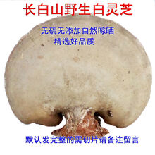野生白灵芝 东北长白山白桦树灵芝 完整灵芝玉芝整枝林芝桦剥管菌 一件半斤切片(250克装)