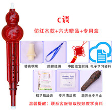 XINXIANGXI 葫芦丝乐器初学c调降b调儿童中小学生成人演奏型胡芦丝自学 红色c调+皮盒+