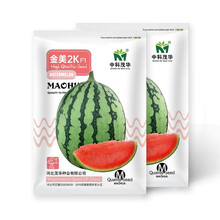 中科茂华瓜果种子金美2K西瓜种子花皮红肉甜脆多汁外椭圆形皮薄而有韧性耐储运20粒