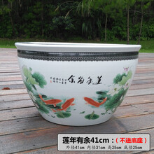 庭院大缸景德镇青花瓷水缸金鱼缸荷花碗莲睡莲盆乌龟缸酒店甲鱼缸 莲年有余41cm