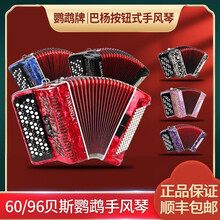 鹦鹉巴扬手风琴YW-663 69键96BS YW-672 62键60BS按钮手风琴初学考级演奏 96贝斯红色YW-663