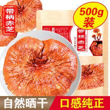 吉雪 灵芝 赤灵芝 东北长白山赤芝 丹芝 红芝 血灵芝 带柄赤芝500g